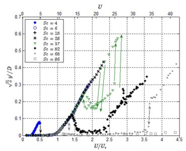 Summary of the amplitude–velocity curves for various Scruton numbers. The dashed line denotes the quasi-steady asymptotic trend for high reduced flow speeds, while the arrows highlight amplitude jumps and hysteresis loops. y’ is the standard deviation of the transverse oscillation time histories. 